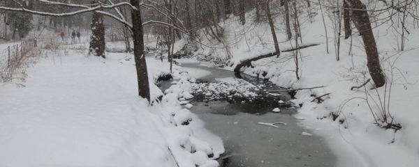 Day 20: Getting out the door-to get outdoors